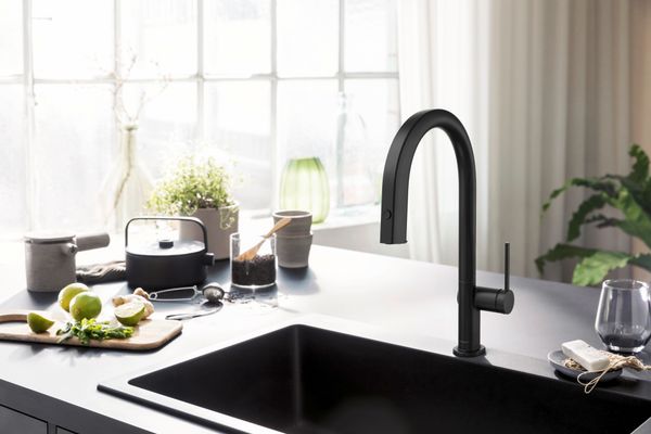 Hansgrohe FilterSystem 210 Aqittura M91 Ausziehausl.1jet mattschwarz Bild 8