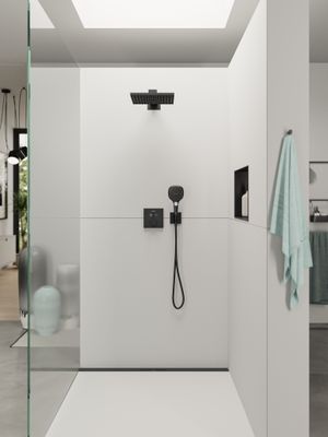 Hansgrohe Handbrause Raindance Select E120 3jet, Ø120 mm, 3-Strahl, matt, Farbe schwarz Bild 8