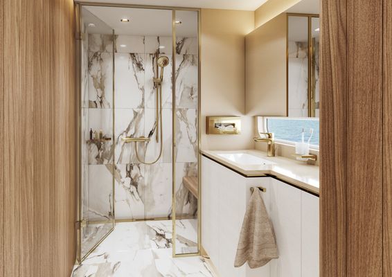 Hansgrohe Handbrause Raindance Select S 120 PGO, 125 mm, Farbe gold Bild 10