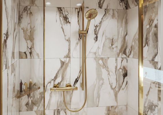 Hansgrohe Handbrause Raindance Select S 120 PGO, 125 mm, Farbe gold Bild 11