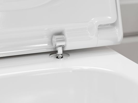 Hansgrohe WC Sitz EluPura Q mit SoftClose / QuickRelease, Farbe weiß Bild 2