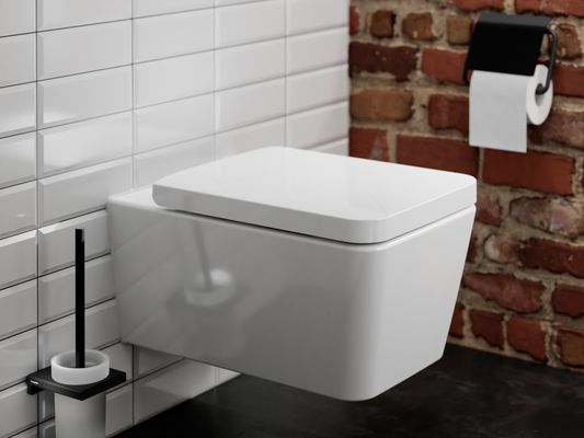 Hansgrohe WC Sitz EluPura Q mit SoftClose / QuickRelease, Farbe weiß Bild 15