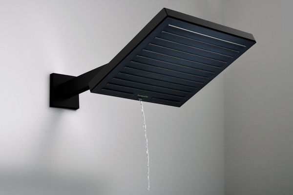Hansgrohe Brausearm E, 390 mm Ausladung, 438 mm, Farbe schwarz Bild 2