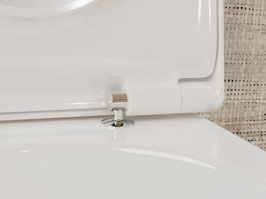 Hansgrohe WC Sitz EluPura S mit SoftClose / QuickRelease, Farbe weiß Bild 2
