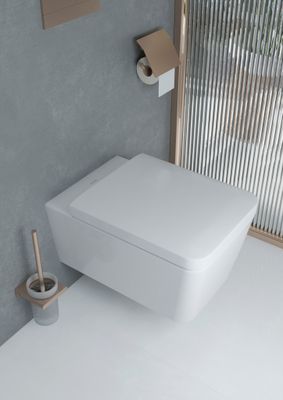 Hansgrohe WC Sitz EluPura Q mit SoftClose / QuickRelease, Farbe weiß Bild 21