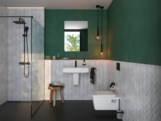 Hansgrohe WC Sitz EluPura Original Q, Farbe weiß Bild 9