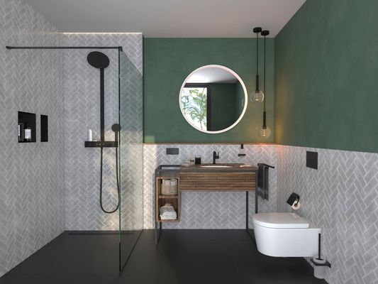 Hansgrohe WC Sitz EluPura S mit SoftClose / QuickRelease, Farbe weiß Bild 16