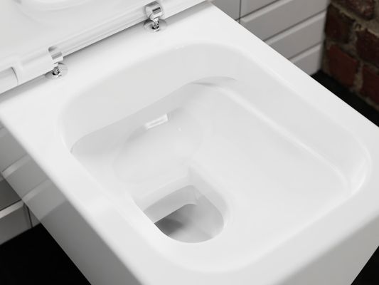 Hansgrohe WC Sitz EluPura Q mit SoftClose / QuickRelease, Farbe weiß Bild 3