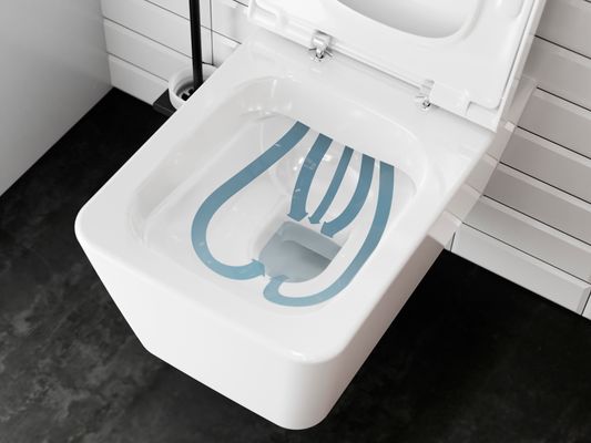 Hansgrohe WC Sitz EluPura Q mit SoftClose / QuickRelease, Farbe weiß Bild 5