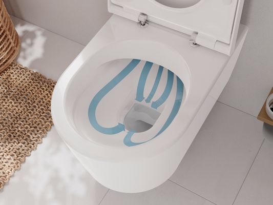 Hansgrohe WC Sitz EluPura S mit SoftClose / QuickRelease, Farbe weiß Bild 3