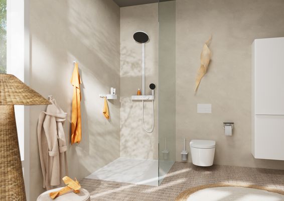 Hansgrohe Bürstengarnitur AddStoris Wandmontage, Farbe weiß Bild 5