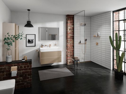 Hansgrohe Seifenschale AddStoris brushed, 52 x 107 x 109 mm, Farbe bronze Bild 14
