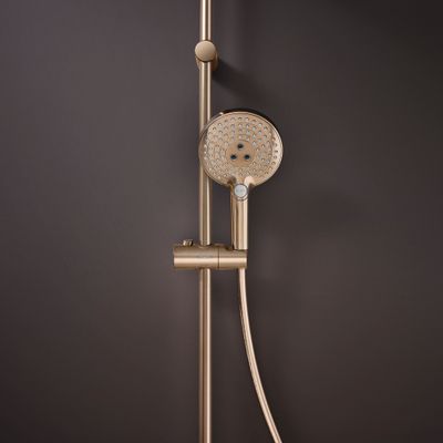 Hansgrohe Handbrause Raindance Select S 120 3jet PowderRain BBR, Farbe bronze Bild 6
