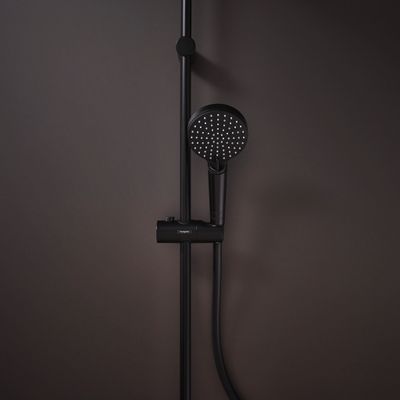 Hansgrohe Handbrause 100 Vernis Blend Vario EcoSmart, Farbe schwarz Bild 8