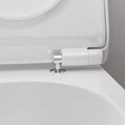 Hansgrohe WC Sitz EluPura S mit SoftClose / QuickRelease, Slim, Farbe weiß Bild 2