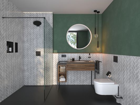 Hansgrohe WC Sitz EluPura S mit SoftClose / QuickRelease, Farbe weiß Bild 17