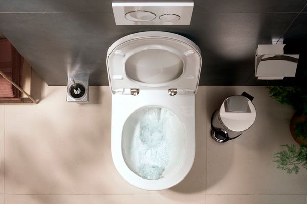 Hansgrohe Bürstengarnitur AddStoris Wandmontage, verchromt, Farbe chrom Bild 6