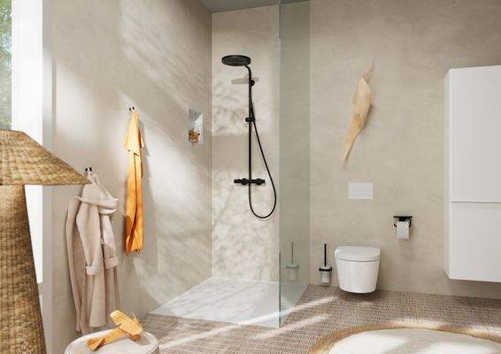 Hansgrohe Bürstengarnitur AddStoris Wandmontage, Farbe schwarz Bild 14