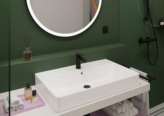 Hansgrohe Aufsatzwaschtisch geschli.Xanuia Q 800 / 480 mm, mit Hahnloch u.Überlauf weiss, 170 x 480 mm, Farbe weiß Bild 13