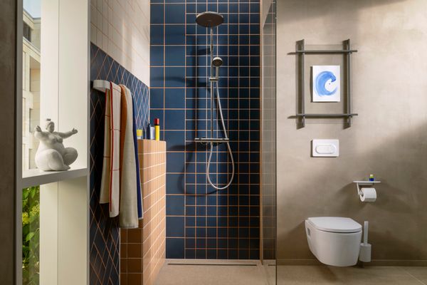 Hansgrohe Toilettenürstenhalter WallStoris matt, Farbe weiß Bild 12
