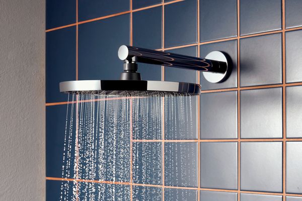 Hansgrohe Brausearm DN 15 240 mm Ausladung, 90 Grad, 280 mm, Farbe chrom Bild 2