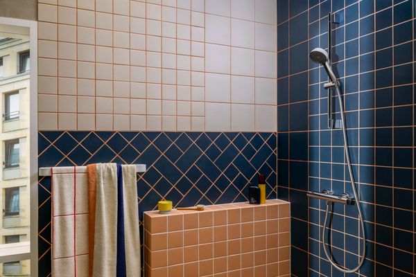 Hansgrohe Toilettenürstenhalter WallStoris matt, Farbe weiß Bild 19