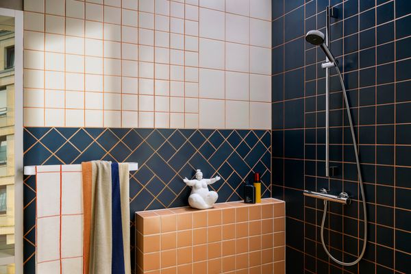 Hansgrohe Handtuchhalter WallStoris mattweiss, 39 x 81 x 81 mm, Farbe weiß Bild 41