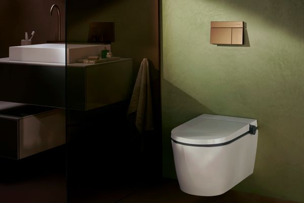 Hansgrohe Ein.Toilettenbürstenh.XtraStoris Rock mit Papierhalter u.befliesbarer Tür MW, 690 x 240 mm, Farbe weiß Bild 36