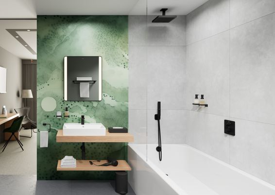 Hansgrohe Stabhandbrause 1-strahlig, Farbe schwarz Bild 26