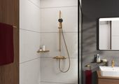 Hansgrohe Seifenschale AddStoris brushed, 52 x 107 x 109 mm, Farbe bronze Bild 3