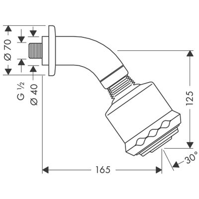 Hansgrohe Kopfbrause Clubmaster, 175 mm Bild 3