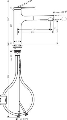 Hansgrohe Spültischmischer 160 Zesis M33 Ausziehbrause 2jet, Farbe chrom Bild 11