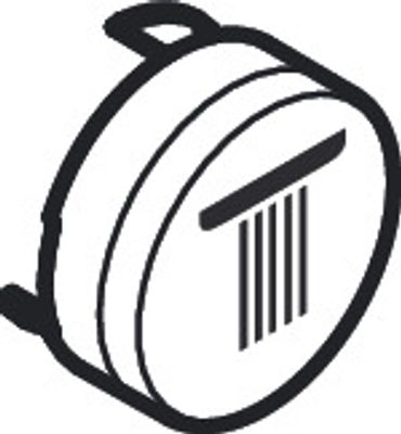 Hansgrohe Druckknopf Symbol, für Kopfbrause Rain, klein, edel, Farbe silberfarben Bild 2