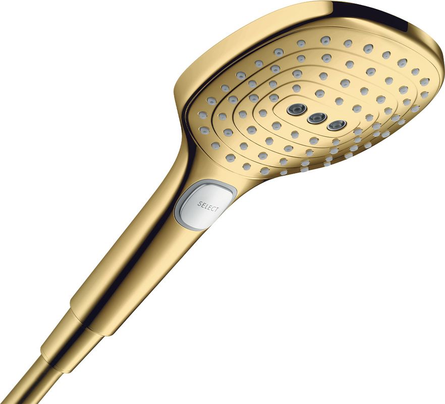 Hansgrohe Handbrause Raindance Select E 120 PGO, 120 mm, Farbe gold Bild 1