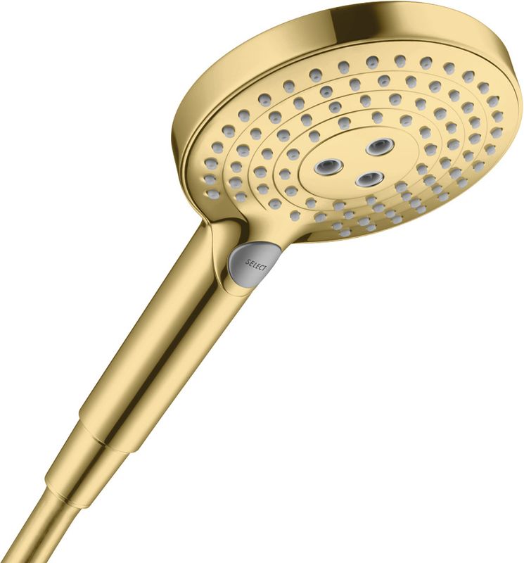 Hansgrohe Handbrause Raindance Select S 120 PGO, 125 mm, Farbe gold Bild 1