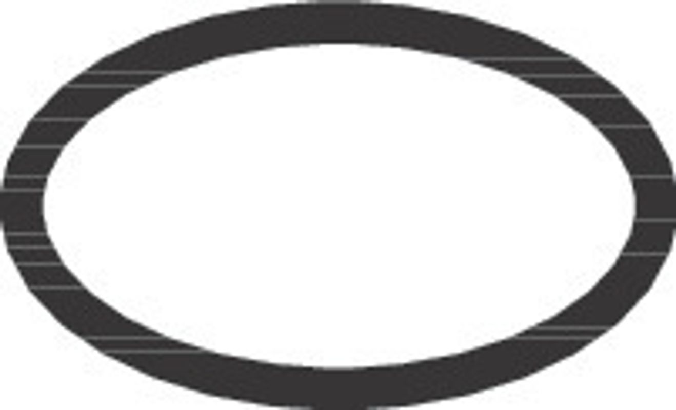 Hansgrohe O-Ring, 16 mm Bild 1