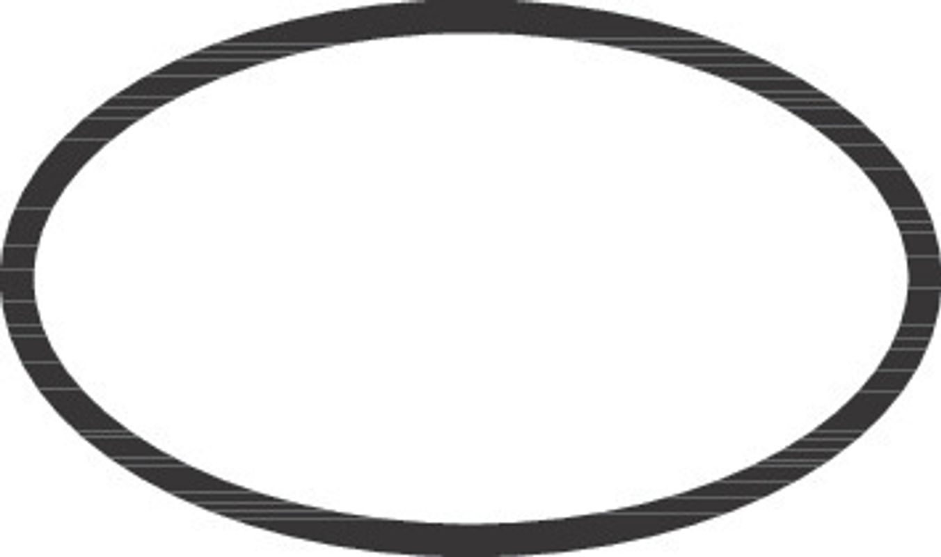 Hansgrohe O-Ring, 29 mm Bild 1