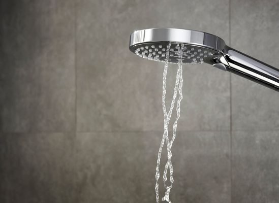 Hansgrohe Handbrause Raindance Select S 120 EcoSmart, 194 mm, Farbe chrom Bild 4