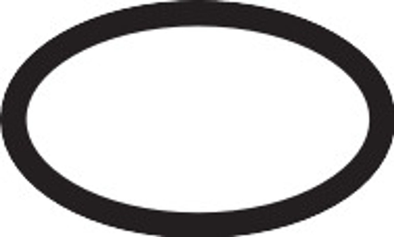 Hansgrohe O-Ring, 21 mm Bild 1