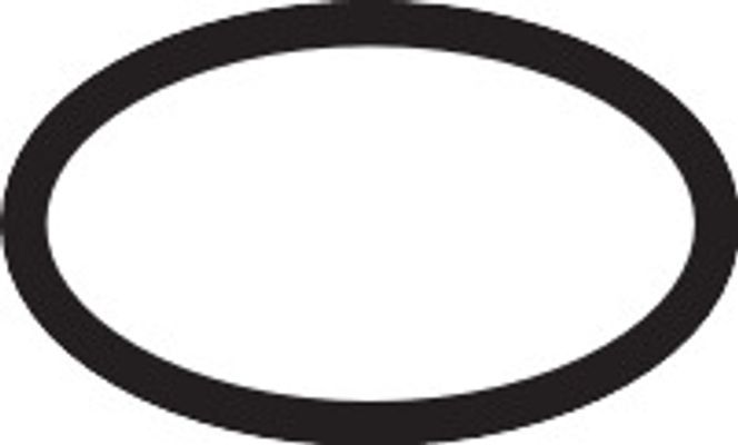 Hansgrohe O-Ring, 16 mm Bild 2