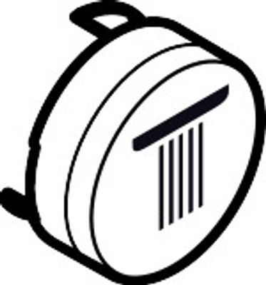 Hansgrohe Druckknopf Symbol, für Kopfbrause Rain, klein, edel, Farbe silberfarben Bild 3