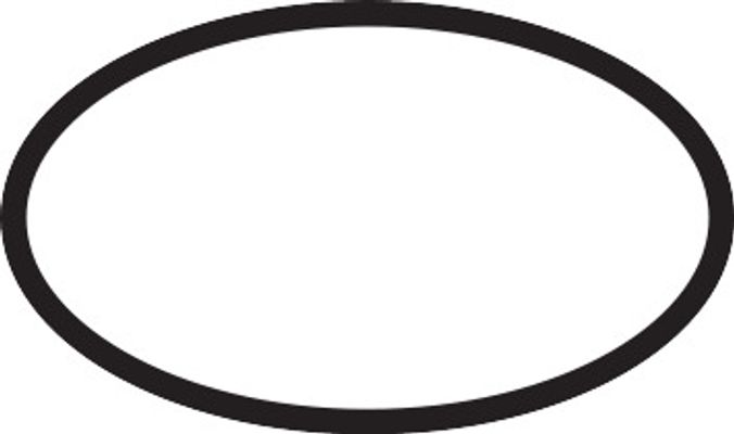 Hansgrohe O-Ring, 29 mm Bild 2