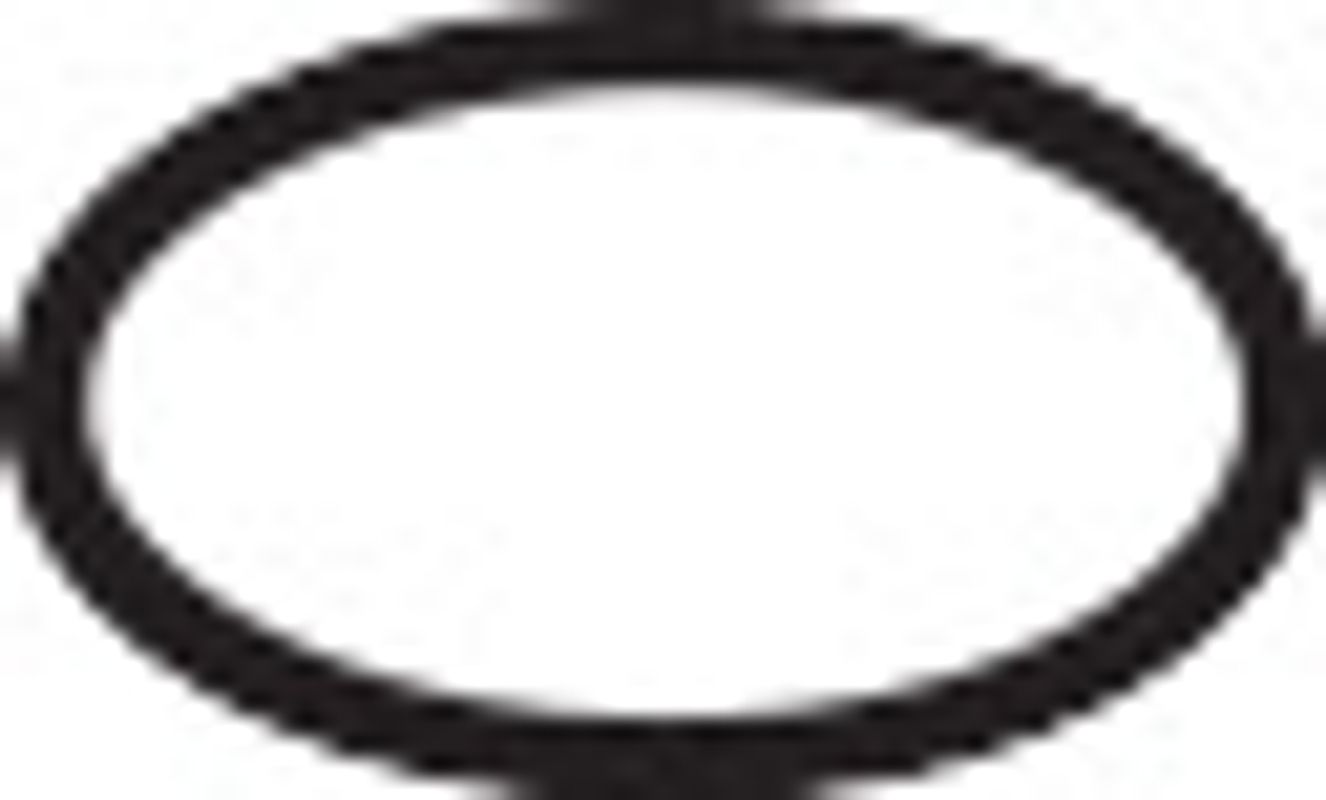 Hansgrohe O-Ring 41 x 2,5 mm, 41 mm Bild 1