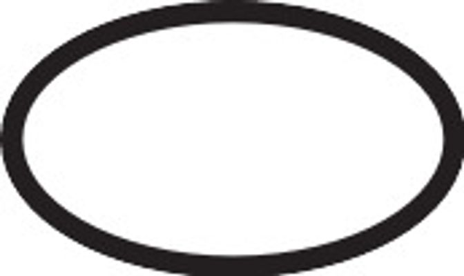 Hansgrohe O-Ring, 21 mm Bild 2