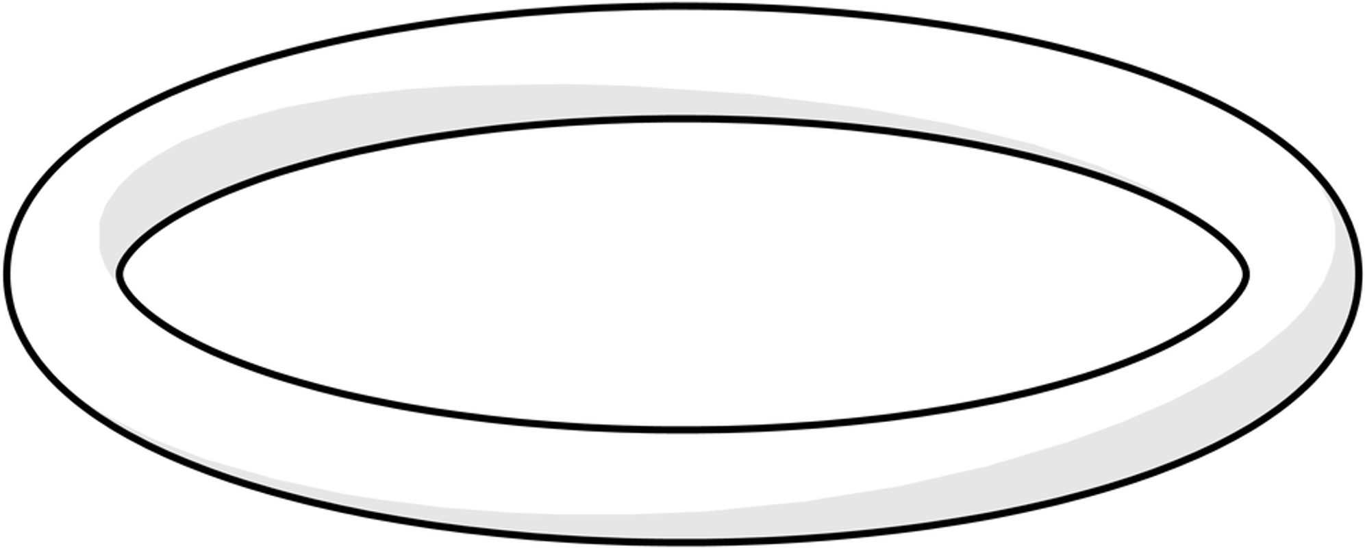 Hansa O-Ring d: 20 mm x 2 mm Bild 1