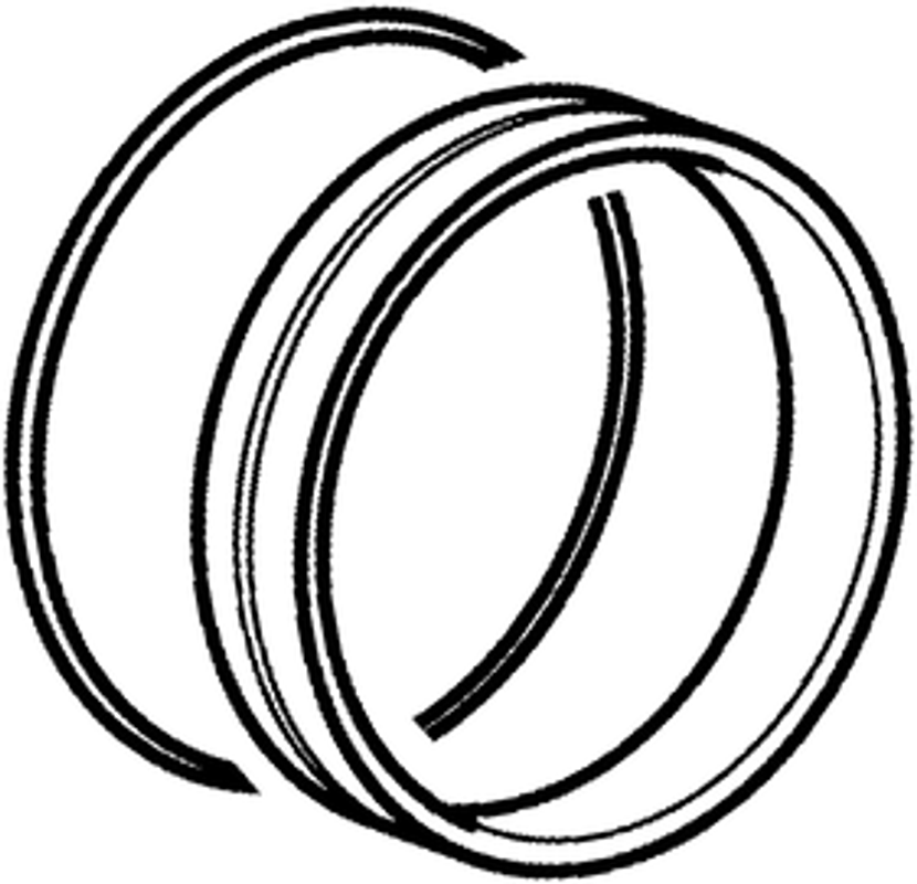 Hansa Ring Bild 1