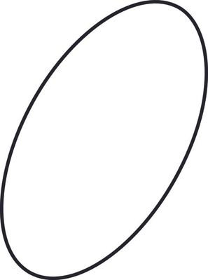 Ideal Standard O-Ring MLUX, 43 x 3 A912199 Bild 2