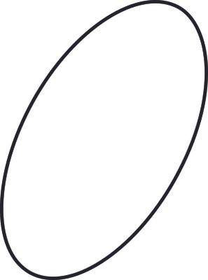Ideal Standard O-Ring 37,77 x 2,62 Bild 2
