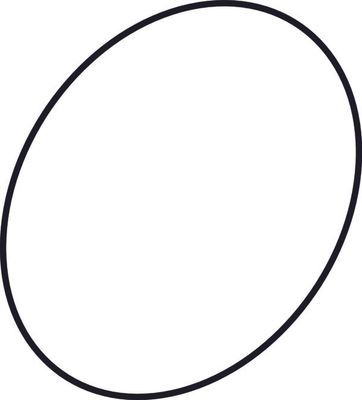 Ideal Standard O-Ring 12,00 x 2,00 Bild 2