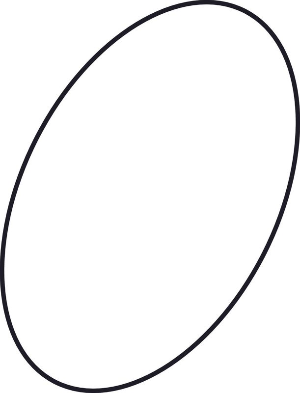 Ideal Standard O-Ring 47,35 x 1,78 Bild 1